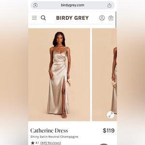 Birdy Grey Strapless Satin Dress in Neutral Champagne